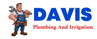 Trusted plumber in RANIER